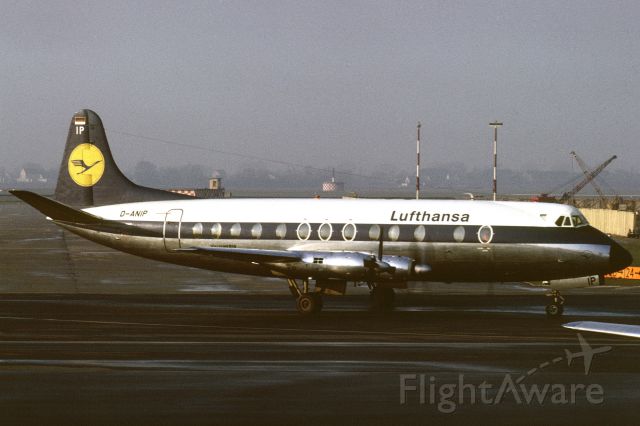 VICKERS Viscount (D-ANIP) - January 1969 at Düsseldorf (EDDL)