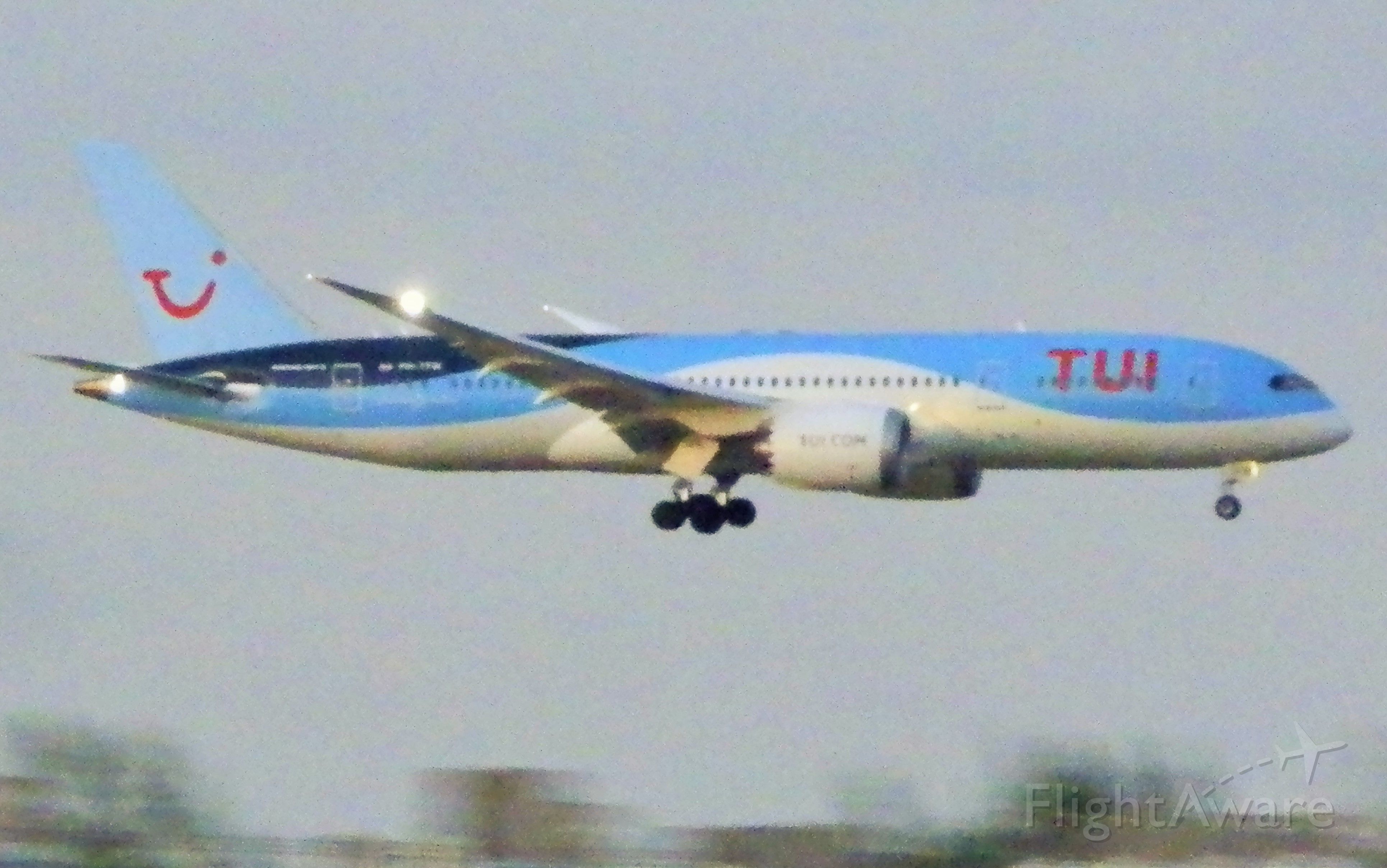 Boeing 787-8 (PH-TFM)