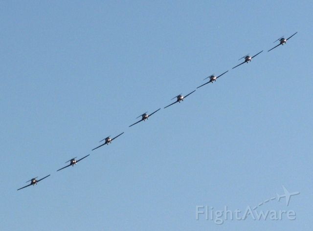 — — - eight Snowbirds