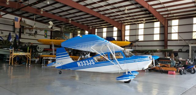 N333JS — - The plane I did my PPL flight training in with Warbird Adventures. 