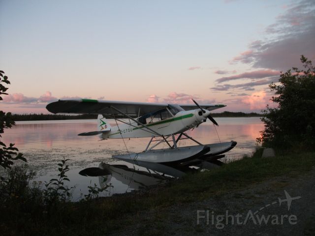 Piper L-21 Super Cub (C-GTOU) - Piper L-21 at Deadmans Pond (Behind Gander Airport)