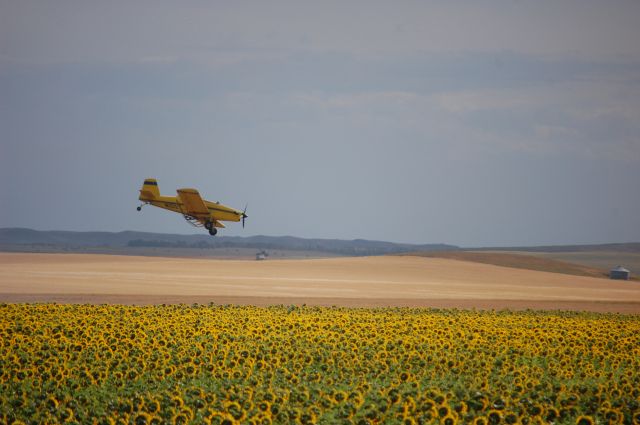 N1012T — - Air Tractor dusting sunflower feild in N.D.