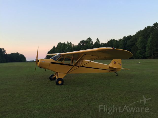 Piper L-18B Cub Special (N78699)