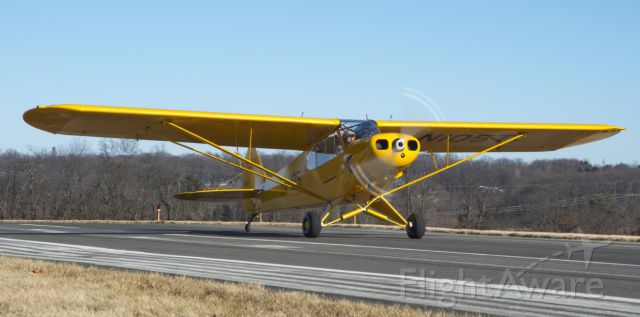 Piper L-21 Super Cub (N105T)