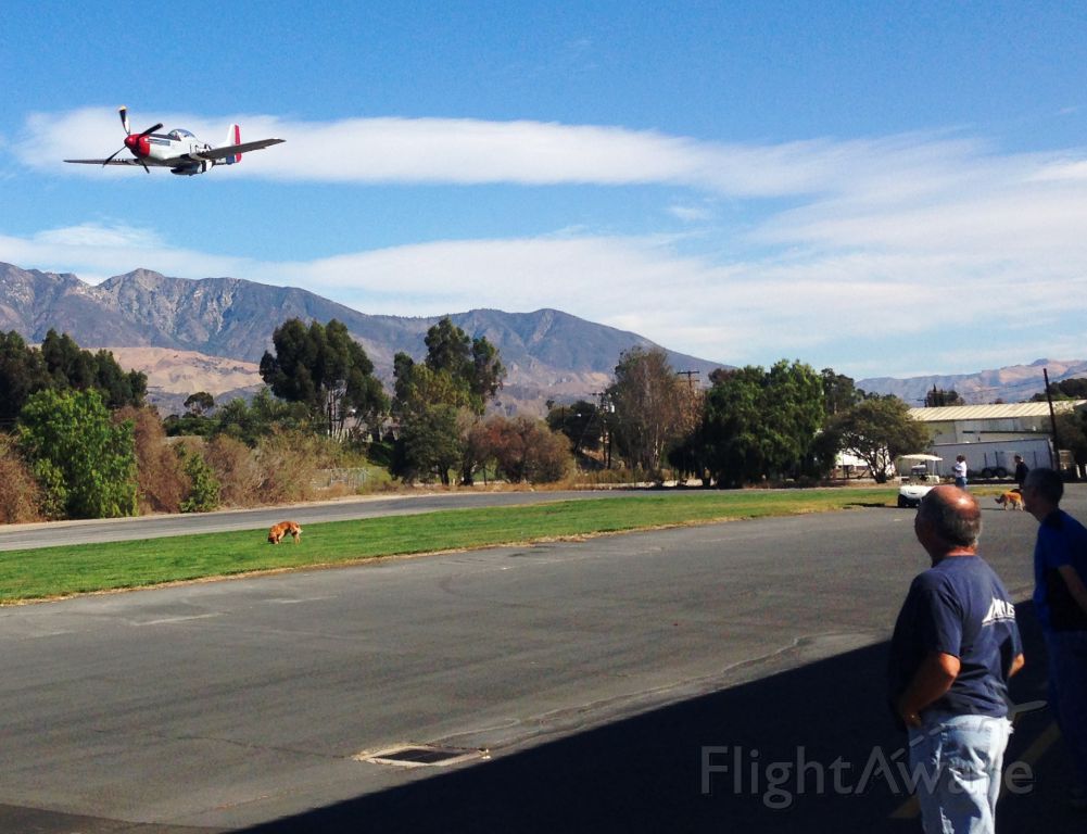 North American P-51 Mustang — - Santa Paula Airport October 2014