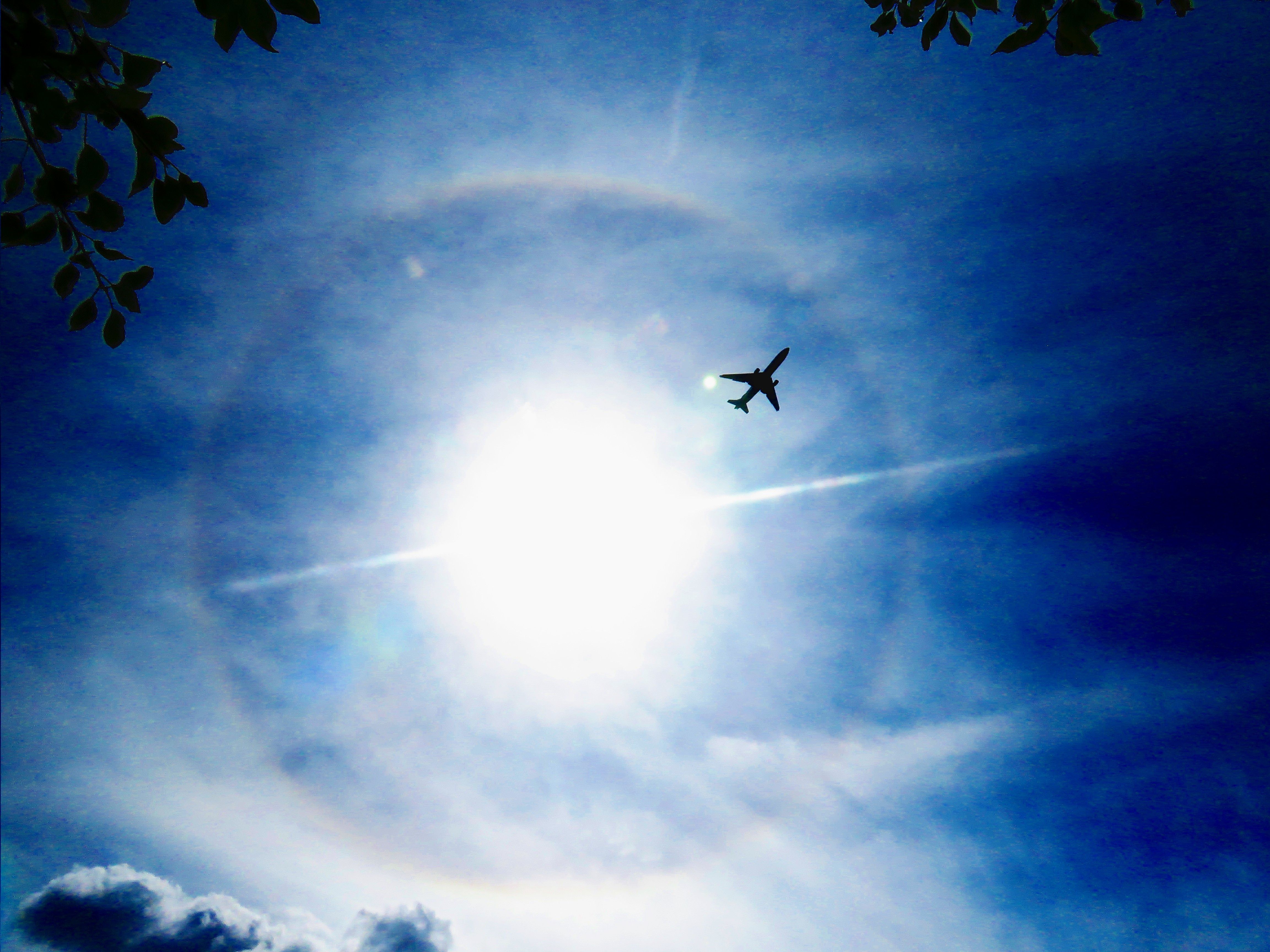 — — - Was drawing in my backyard and heard a MD-11 coming in for landing at Standiford Field, Louisville, KY. I looked overhead and saw this nice solar halo. I could tell the plane was going to transit the halo so I set the camera on wide field and snapped this image. 