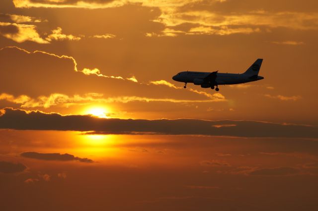 Airbus A319 (LZ-AOA) - Germania lands during amazing sunset. 