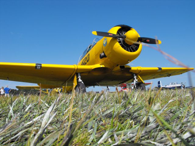 North American T-6 Texan (N1046Y) - T-6 parked in the grass at the 2015 Thomasville Fly-in
