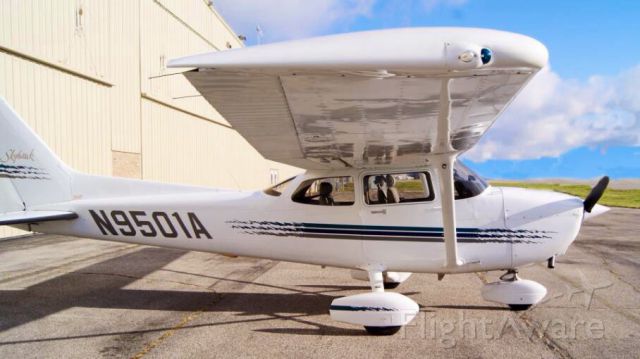 Cessna Skyhawk (N9501A)