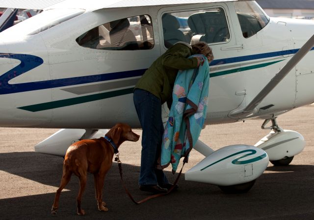 C-FDOW — - Skye, the crew dog is boarding.