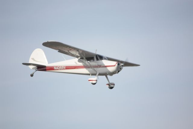 Cessna 170 (N4260V)