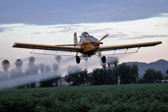 Grumman Tr2 (N30958) - Crop dusting cotton in the field next to Pegasus Airpark 5AZ3