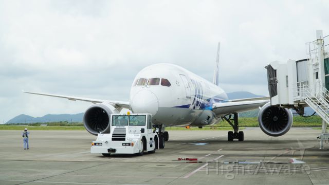 Boeing 787-8 (JA816A) - 前面のレーダードームが何故か白いJA816A