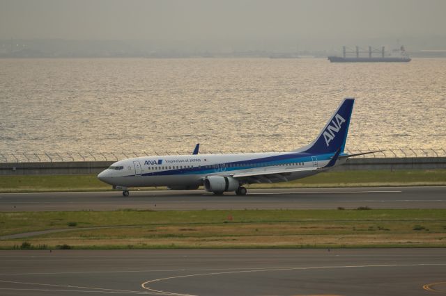 Boeing 737-800 (JA70AN)