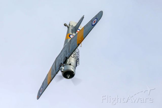 COMMONWEALTH (1) Wirraway (VH-MFW) - A20-695