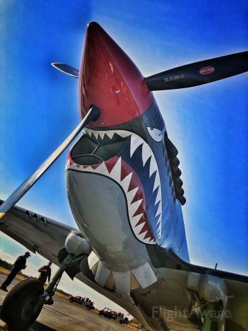 CURTISS Warhawk — - P-40 at Warbirds Over Monroe Airshow, North Carolina