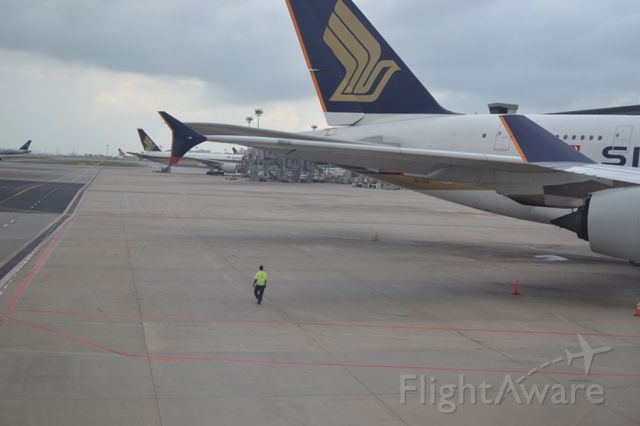 Airbus A380-800 (9V-SKD) - Man versus machine at Changi Airport.