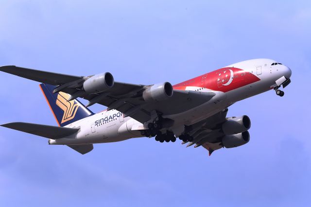 Airbus A380-800 (9V-SKJ) - Special marking Aircraft on the SINGAPORE A388!!