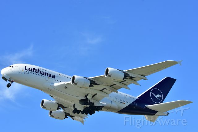 Airbus A380-800 (D-AIMC)