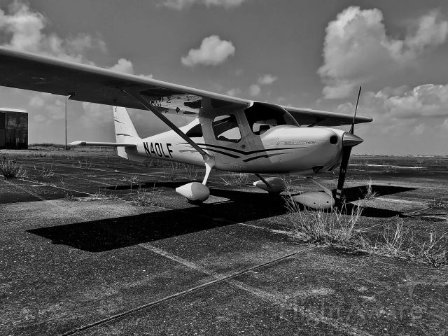 Cessna Skycatcher (N40LF) - Quite a bit of weeds coming up on the ramp.