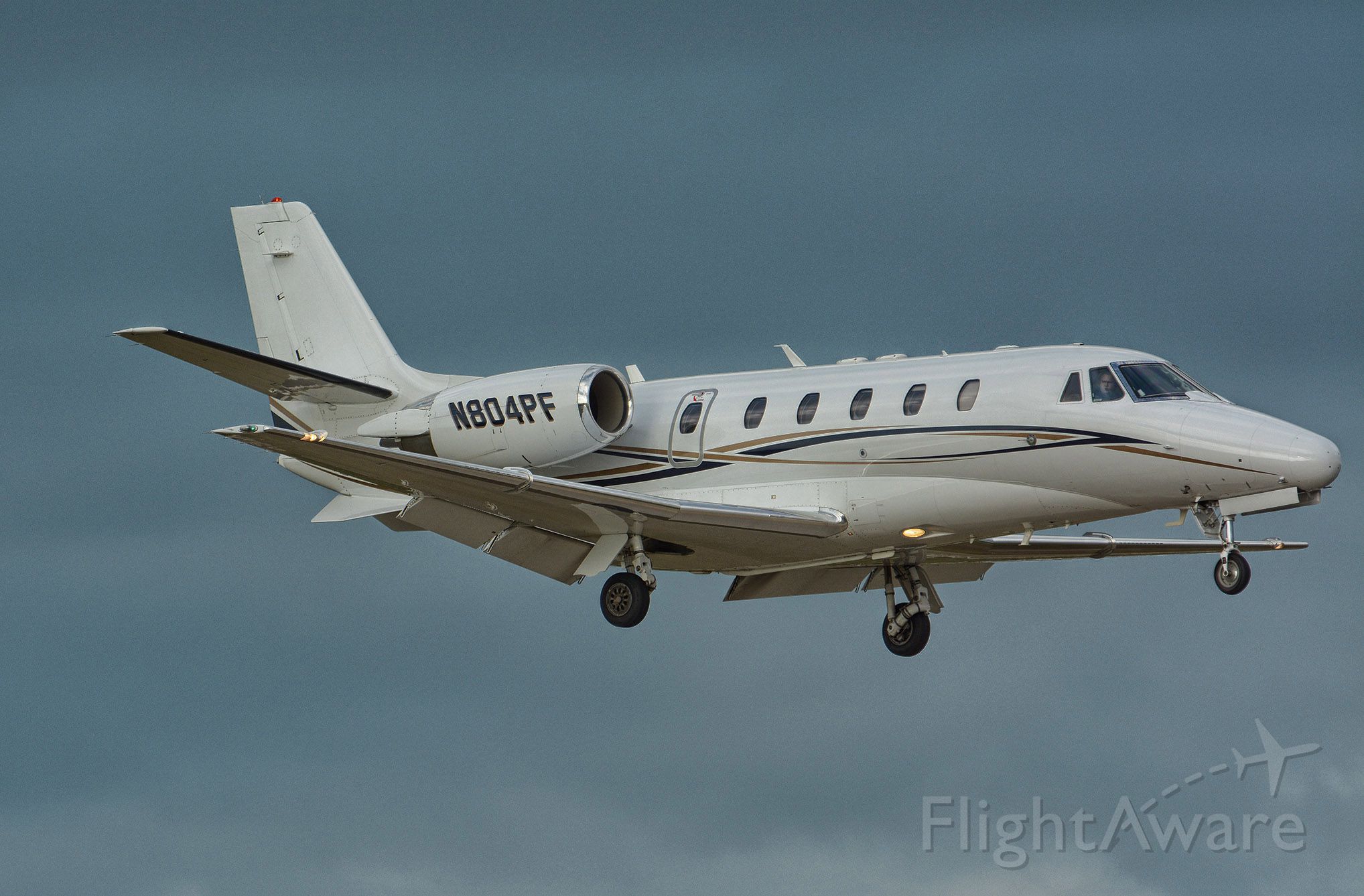 Cessna Citation Excel/XLS (N804PF)