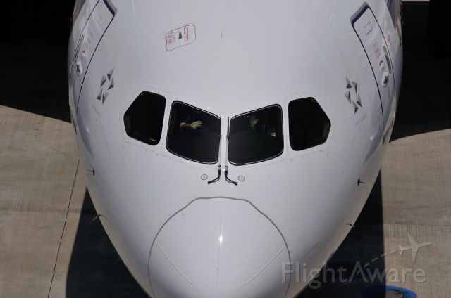 Boeing 787-8 (JA802A) - 2012/5/27