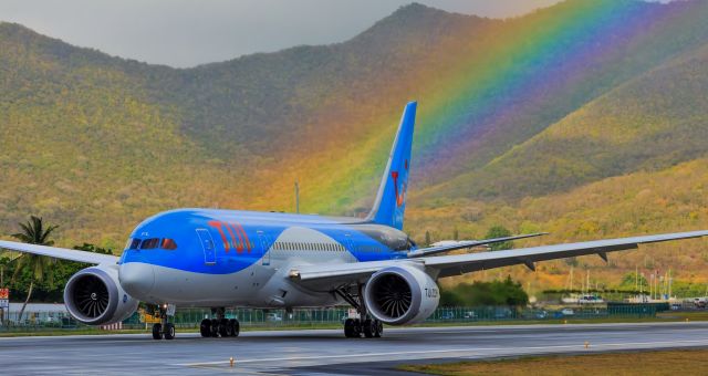 Boeing 787-8 (PH-TFL) - TUI back tracking the active runaway for parking after the rain showers at the field.