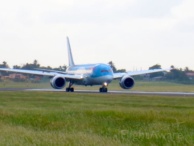 Boeing 787-8 (G-TUIA)