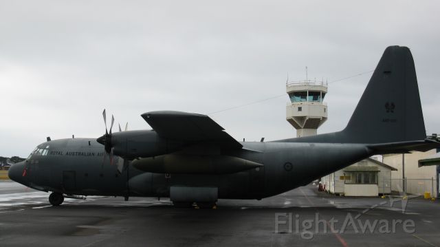 Lockheed C-130 Hercules (A39011)