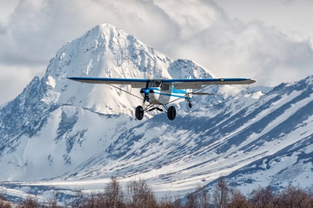 Piper L-21 Super Cub — - Approaching Lake Hood landing strip