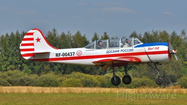YAKOVLEV Yak-52 (RF-00437)