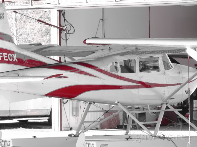 Cessna Skywagon (C-FECX)