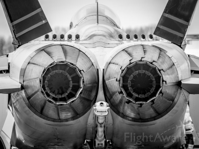 McDonnell Douglas FA-18 Hornet —