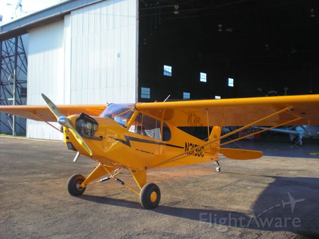 Piper L-21 Super Cub (N313BC)
