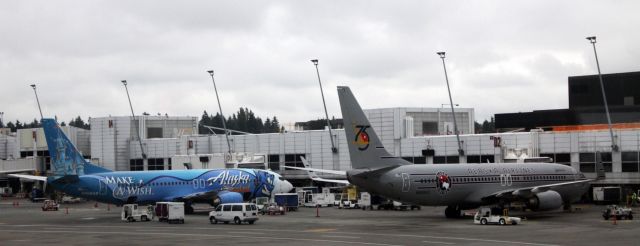 Boeing 737-700 (N569AS) - Alaska 75th Anniversary jet in fore ground with the Make A Wish themed B737 (N706AS) in back ground ...  June 17, 2014