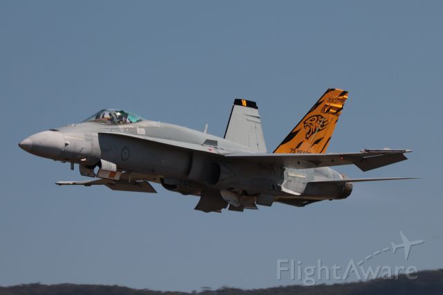 — — - RAAF F/A-18 Hornet