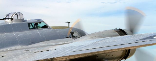 Boeing B-17 Flying Fortress (N5017N)