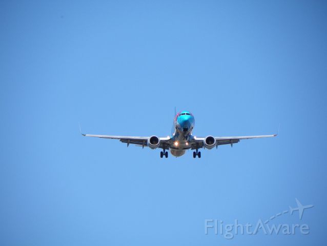ASA189 — - Disney Theme 737-900 series landing at PAFA.