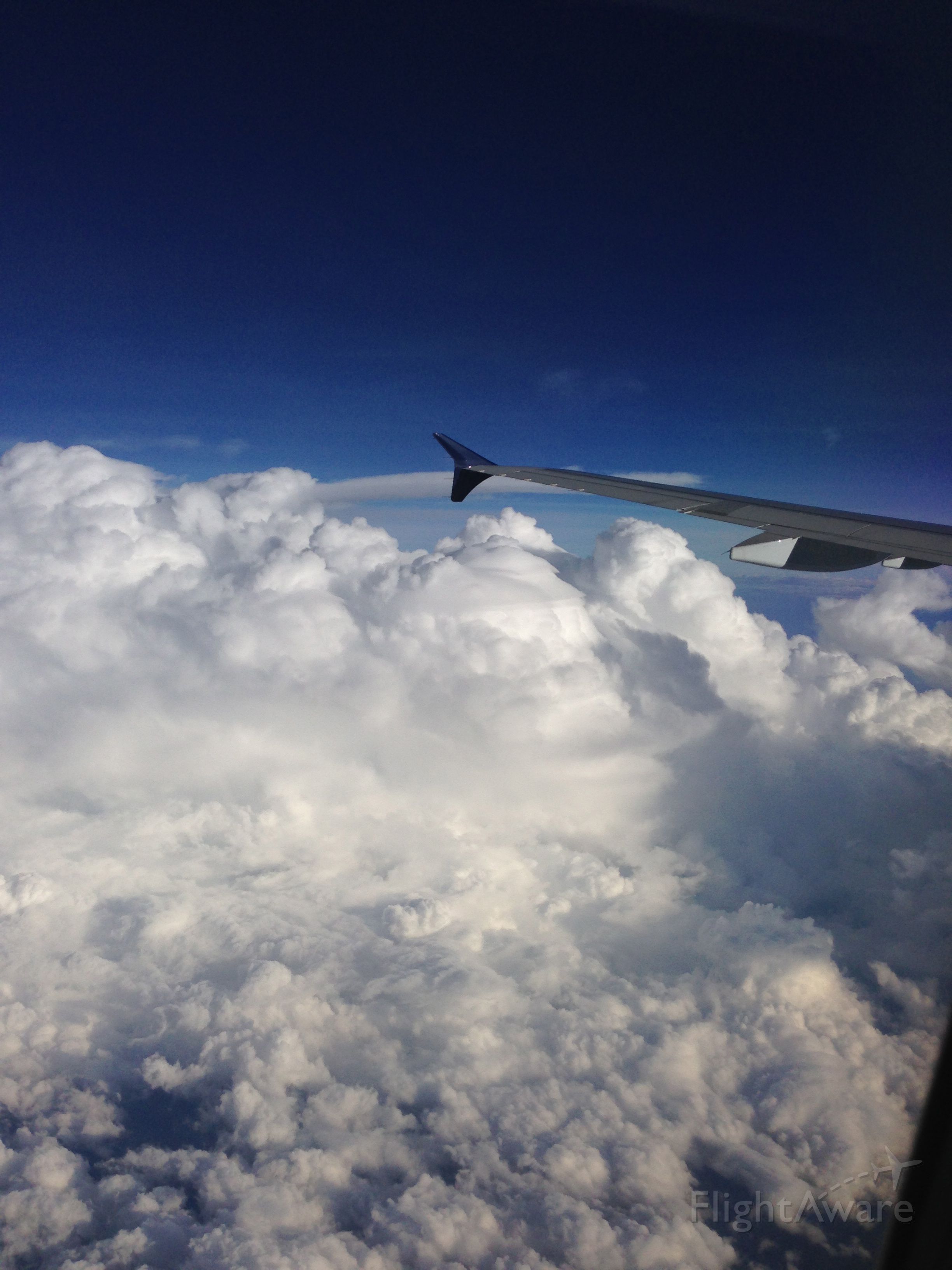 Airbus A321 — - Enroute from KPHL to KMCO